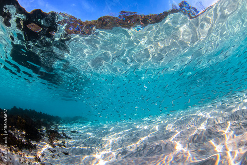 Underwater paradise  Jervis Bay  Australia