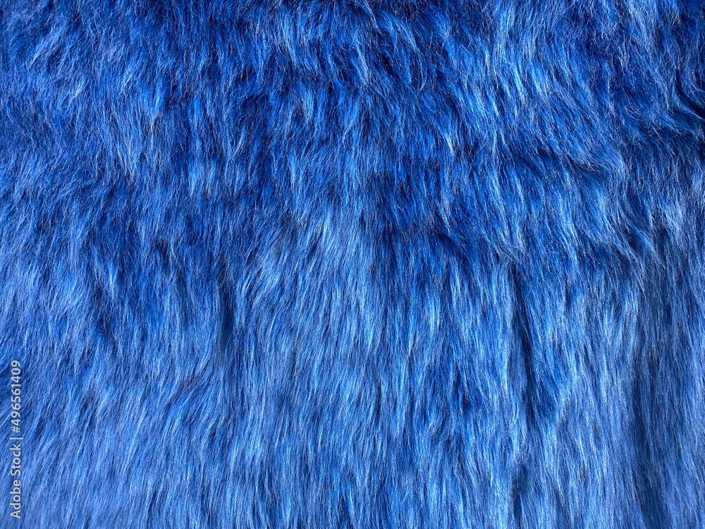 Natural fur. Long hair fur for background or texture. Texture of fluffy fur for designers. Close-up fragment wool. Wool texture. Natural sheepskin rug background. Natural fur. Long hair fur for background or texture. Texture of fluffy fur for designers. Close-up fragment wool. Wool texture. Natural sheepskin rug background.