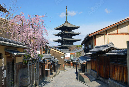 Yasaka Pagoda and cherry tree in Kyoto City