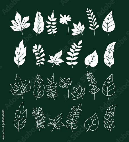 set of leaves