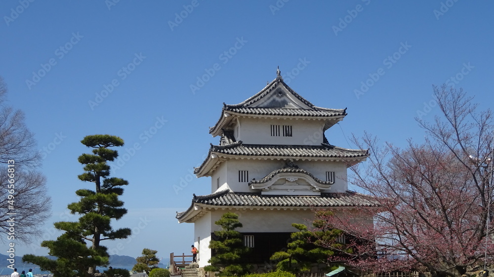 香川県に現存する天守を持つ丸亀城と桜
Marugame Castle and cherry blossoms with existing castle tower in Kagawa Prefecture 香川県に現存する天守を持つ丸亀城と桜
Marugame Castle and cherry blossoms with existing castle tower in Kagawa Prefecture