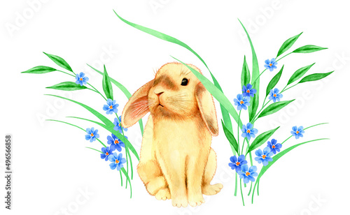 Watercolor illustration of a cute rabbit for your design. Perfect for Happy Easter, Birthday