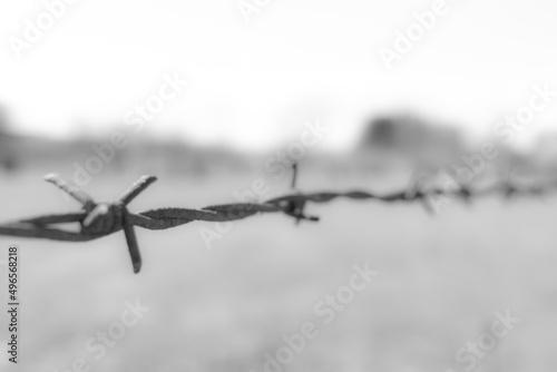 Obraz na plátne Stacheldrahtzaun an einer Viehweide