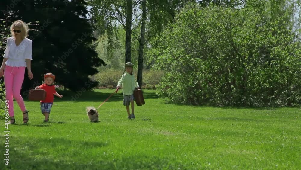 Two little boys with their mother are walking the dog in the park. Children with baskets go on a picnic. Pikinese puppy on a leash runs ahead of the boy on a green lawn. Two little boys with their mother are walking the dog in the park. Children with baskets go on a picnic. Pikinese puppy on a leash runs ahead of the boy on a green lawn.