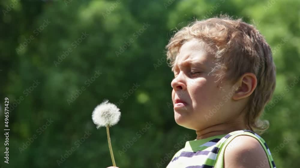 The boy blows on a dandelion. Dandelion seeds are blown away by the wind. The boy blows on a dandelion. Dandelion seeds are blown away by the wind.