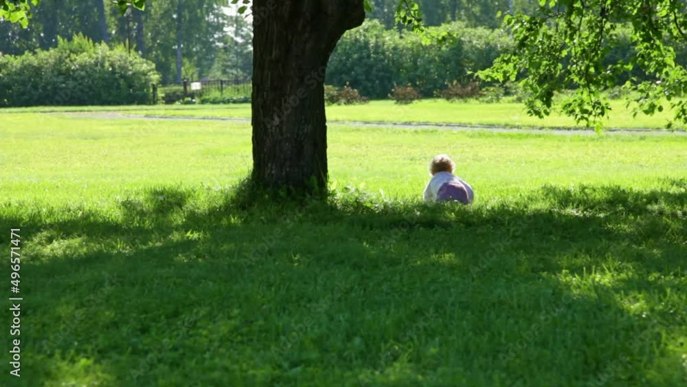 The kid crawls under the tree on the fresh grass. A blond boy kid in a park on a green lawn.
The kid crawls under the tree on the fresh grass. A blond boy kid in a park on a green lawn.