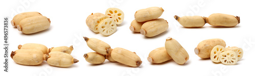 Lotus root on the white background