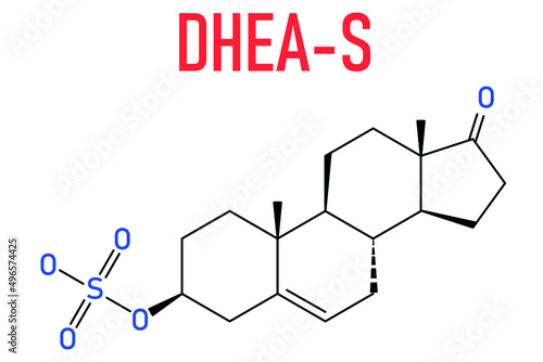 Dehydroepiandrosterone sulfate (DHEA-S) natural hormone molecule. Skeletal formula. photo