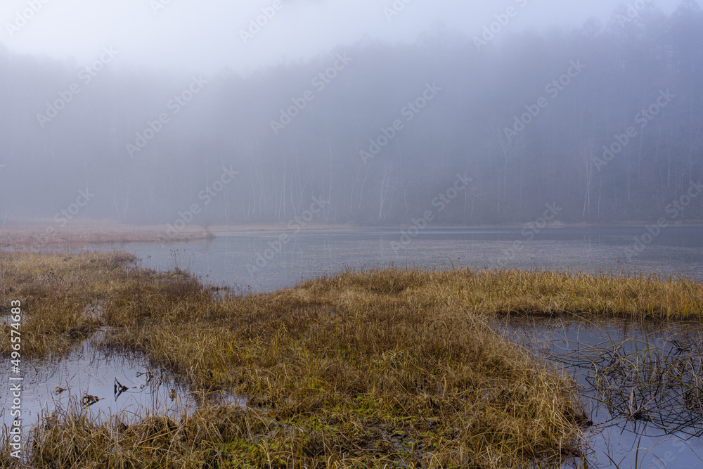 Fototapeta premium 深い霧がかかる晩秋の池