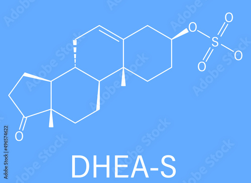 Dehydroepiandrosterone sulfate (DHEA-S) natural hormone molecule. Skeletal formula. photo