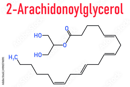 2-Arachidonoylglycerol (2-AG) endocannabinoid neurotransmitter molecule. Skeletal formula.
