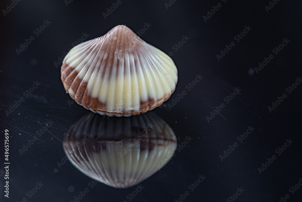 Figures of Belgian chocolate on a dark background. Figures of Belgian chocolate on a dark background.