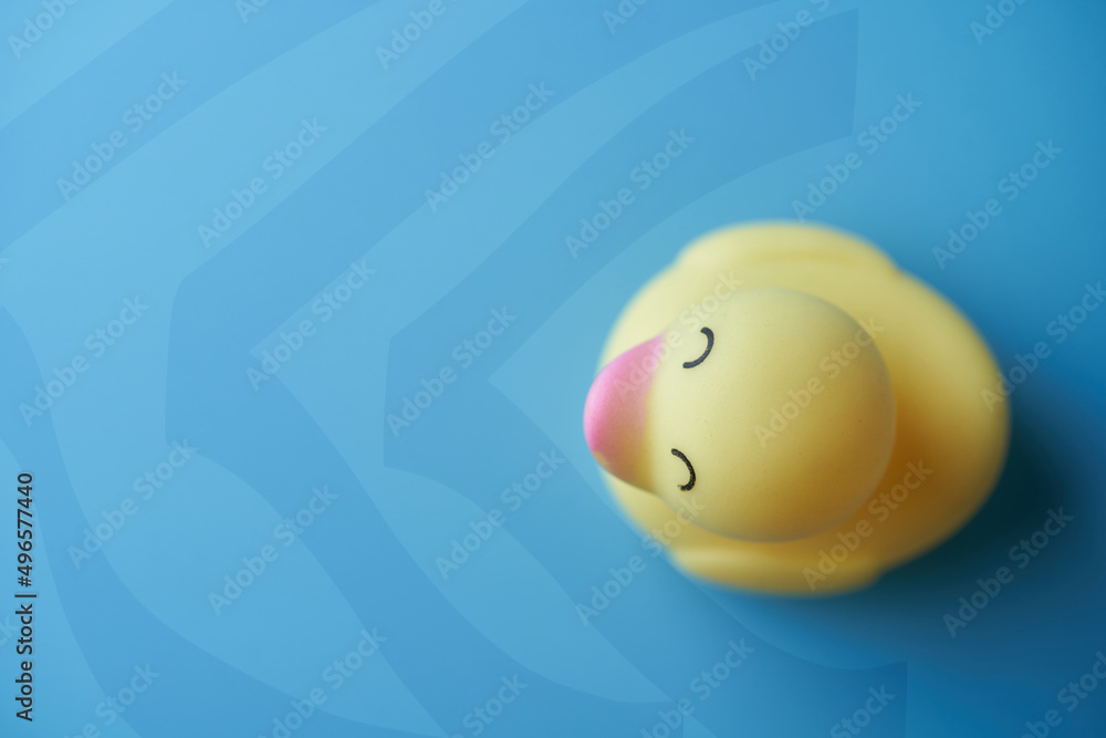 Fototapeta premium yellow rubber duck on blue background