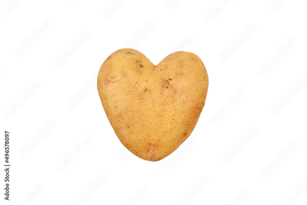 Obraz premium Raw white potato tuber in the form of a heart, isolated on a white background.The concept of natural healthy products, potato exports. Potatoes-as raw materials for starch, animal feed, seeds