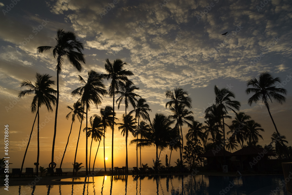 Silhouettes of coconut trees at sunset with blue and orange sky