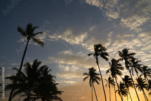 Silhouettes of coconut trees at sunset with blue and orange sky