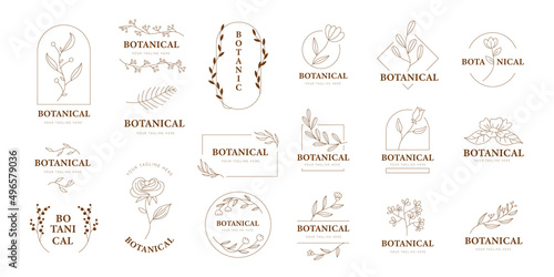 Doodle Herb and flower logo, set of hand-drawn botanical, floral set of wildflowers and herbs, vector objects isolated on a white background. One Line Drawing Vector Flowers Set.
