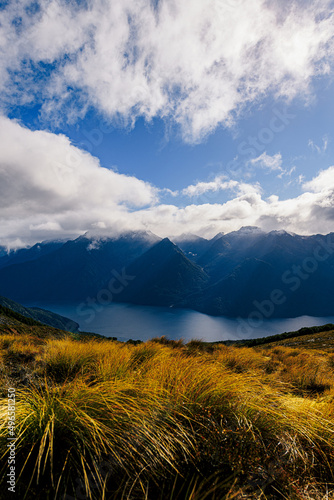 Fjord in New Zealand