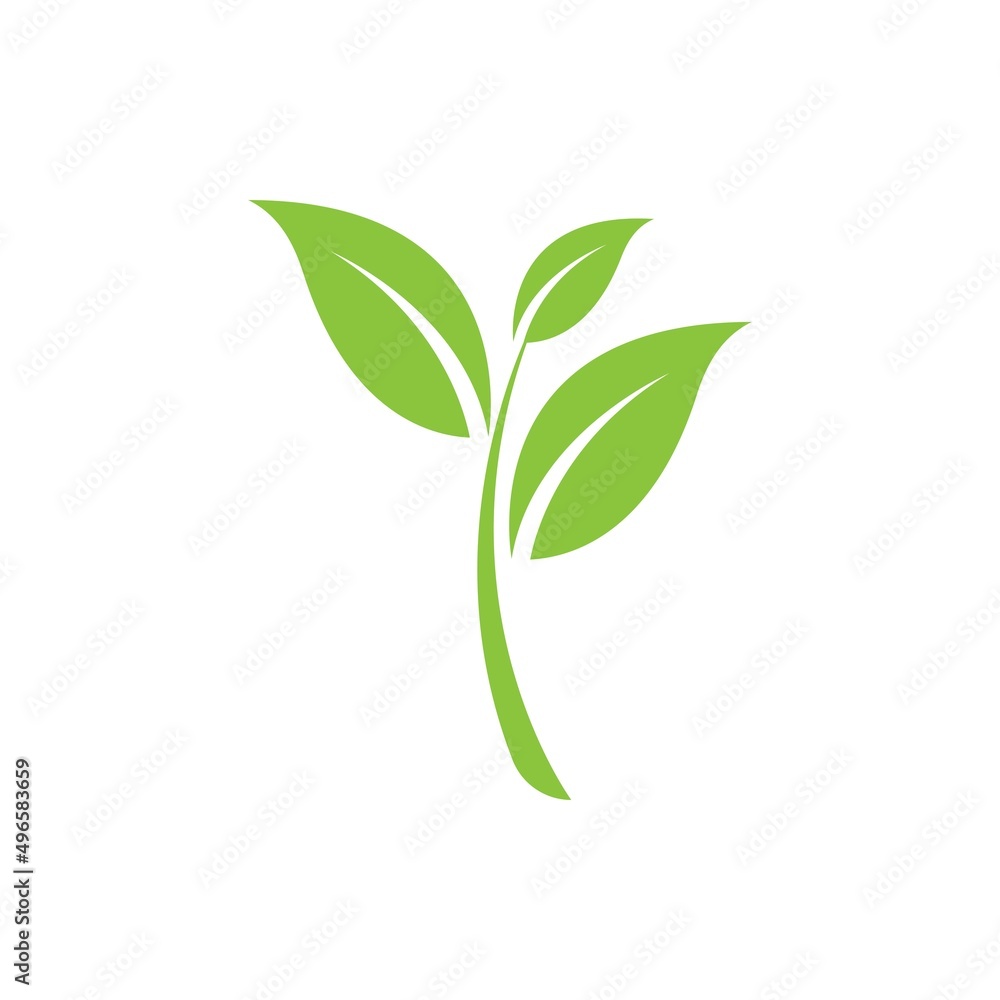 Fototapeta premium Green leaf logo