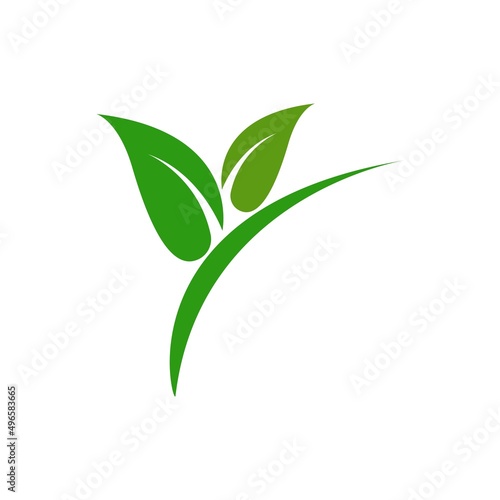 Green leaf logo