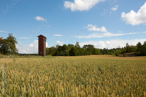 Old transformer countryside with wheat field and sky