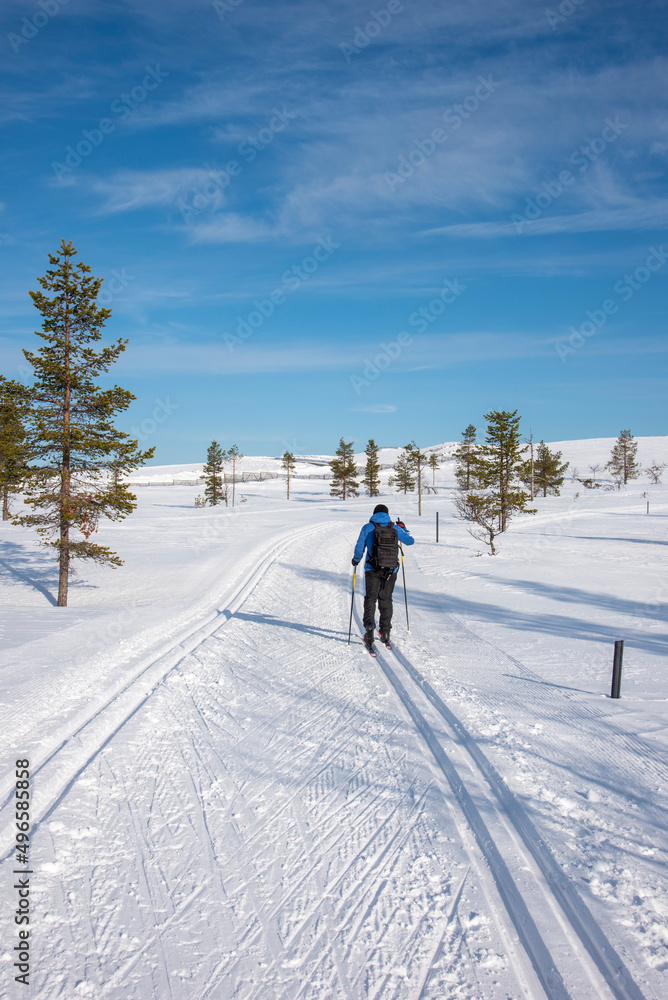 Cross country skiiing in Lapland Finland