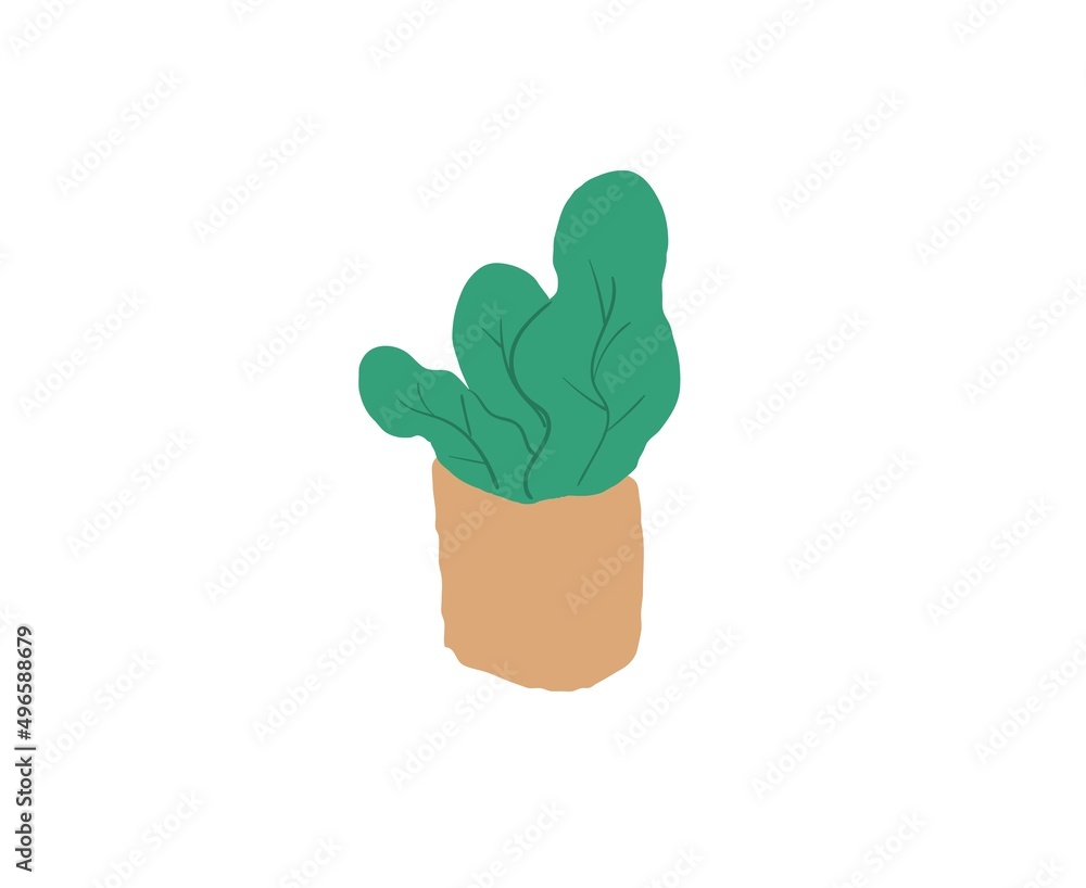 Vector flat cartoon home plant in pot isolated on empty background-modern decoration,room interior elements,comfort home life concept,web site banner ad design Vector flat cartoon home plant in pot isolated on empty background-modern decoration,room interior elements,comfort home life concept,web site banner ad design