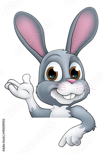 Easter Bunny Rabbit Cartoon...