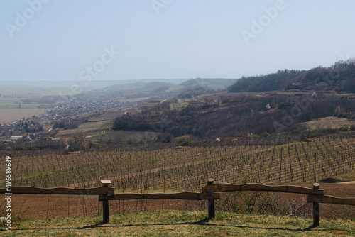vineyard © Eszter