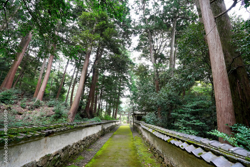 宮川神社 参道 苔むした地面 築地塀 森林 鳥居、京都府亀岡市宮前町宮川神尾山２、2021/9/12