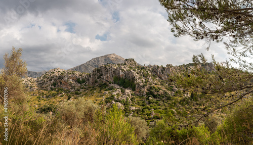 Tramuntana Gebirge auf Mallorca mit Felsen und Pinienwald in Spanien