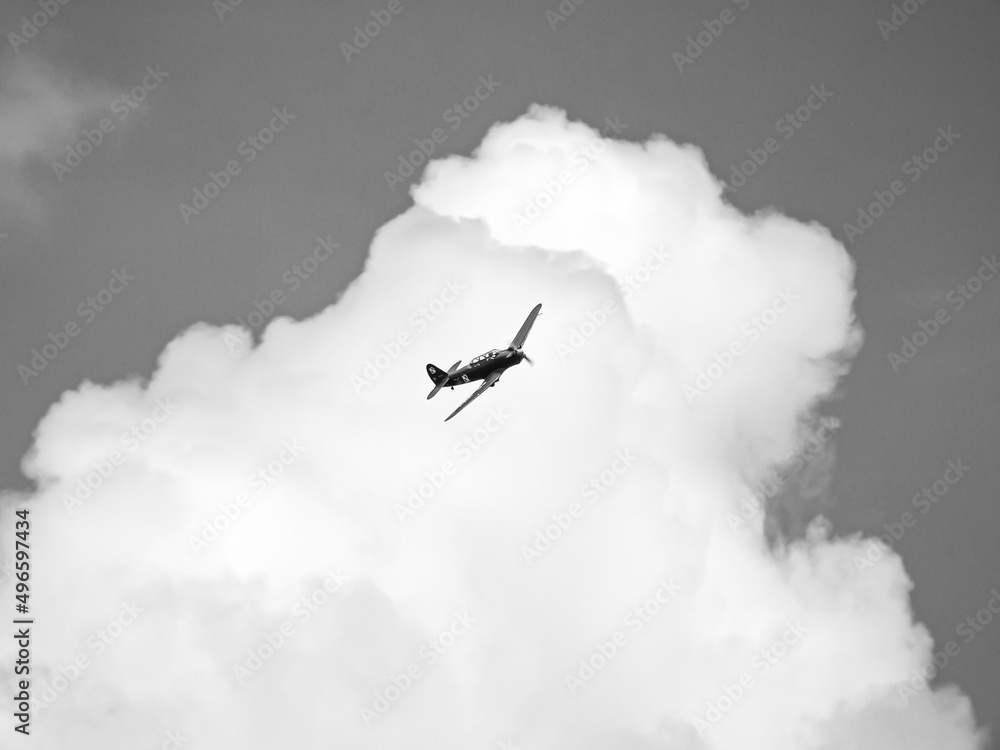 Samolot na tle chmur, pokaz lotniczy, stary samolot, aeroplan, niebo, chmura, cumulus, skrzydła, śmigło, lot, podróż, czarno białe, BW - obrazy, fototapety, plakaty 