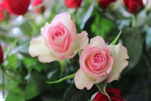 bunch of roses