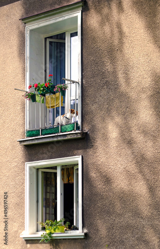 Okna na świat, okno balkonowe, parapet, kwiaty, atmosfera, pies, nowa huta, stary blok, PRL, lato, uchylone okna