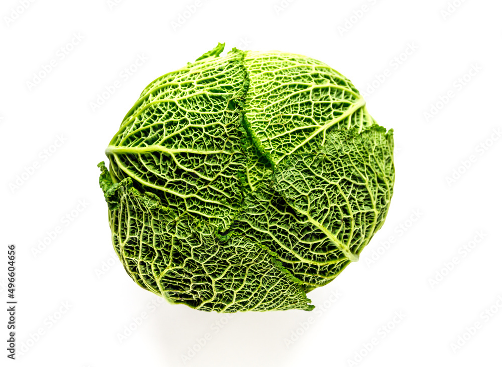 Fototapeta premium Savoy cabbage isolated on a white background