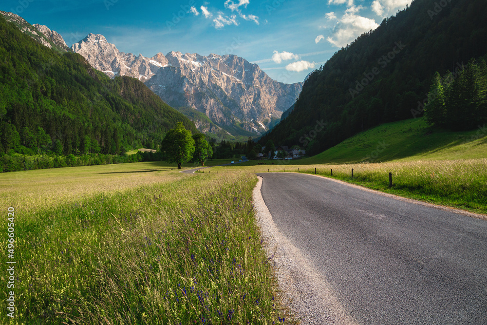 Flowery meadows and snowy mountains scenery, Kamnik Alps, Slovenia