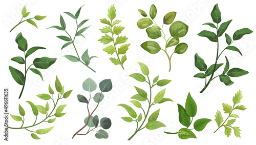 Set green leaves. Decorative beauty element illustration for design leaf in watercolor style. To be used for wedding and invitations 