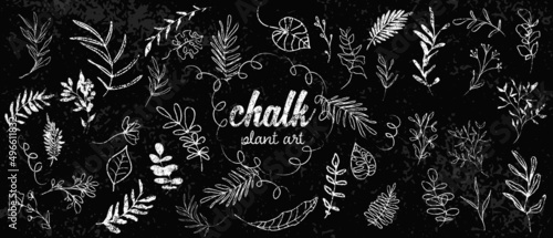 Chalk plant art set. Individual design elements for your own project. Great effect structure. Hand drawn colorful chalk plant set - universally usable. Hand drawn lines and elegant leaves.