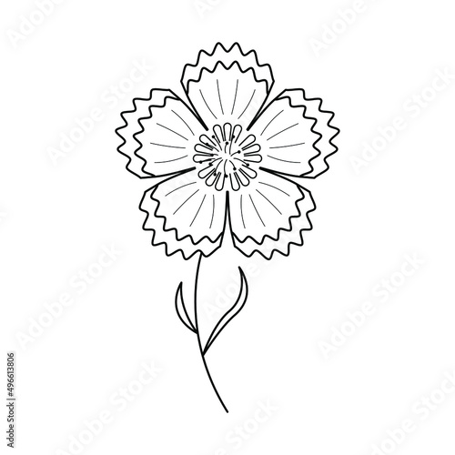 Abstract Hand Drawn Flower Plant Carnation Botanic Floral Nature Bloom Doodle Concept Vector Design Outline Style On White Background Isolated