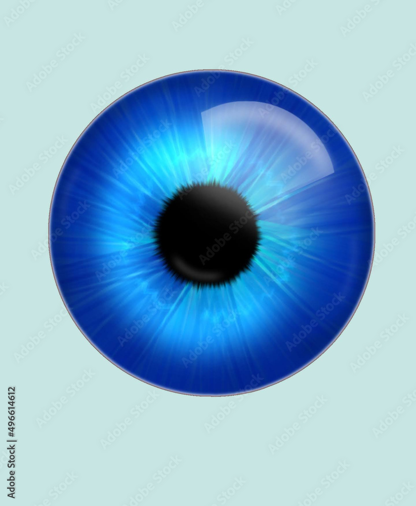 illustration of a blue iris illustration of a blue iris