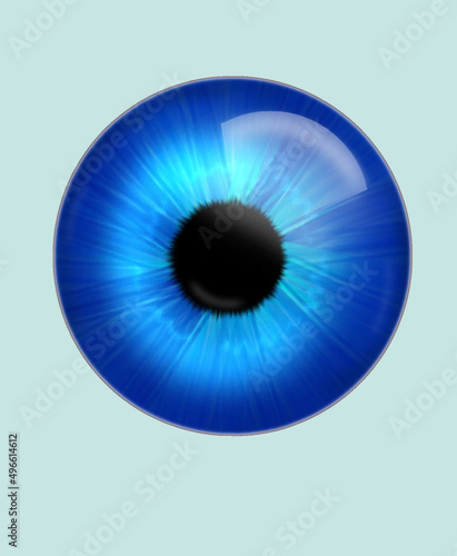 illustration of a blue iris