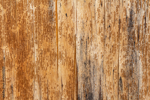 Wood veneer with cracks and black mold spots.