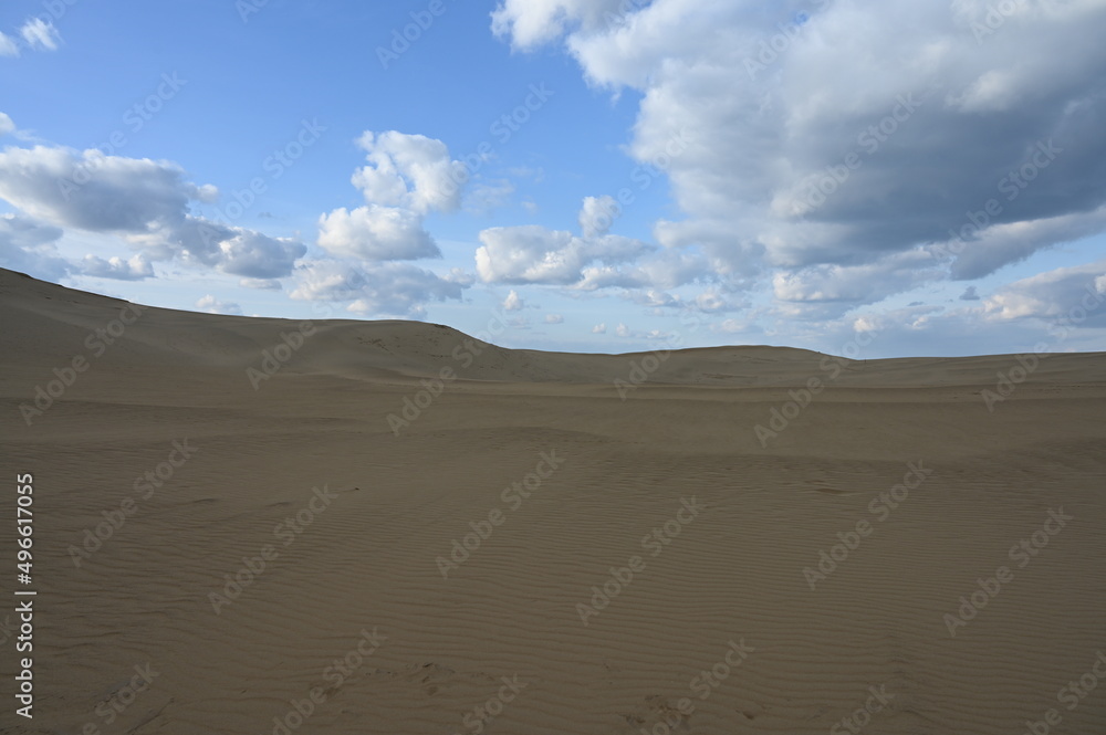 Spring Tottori Sand Dunes