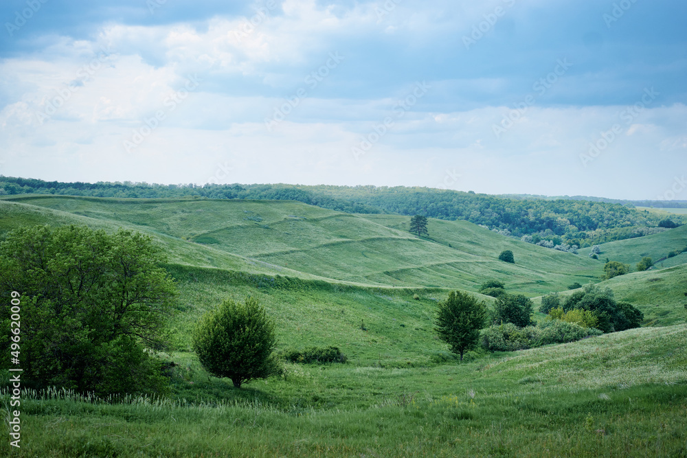 Beautiful summer landscape with green valley.