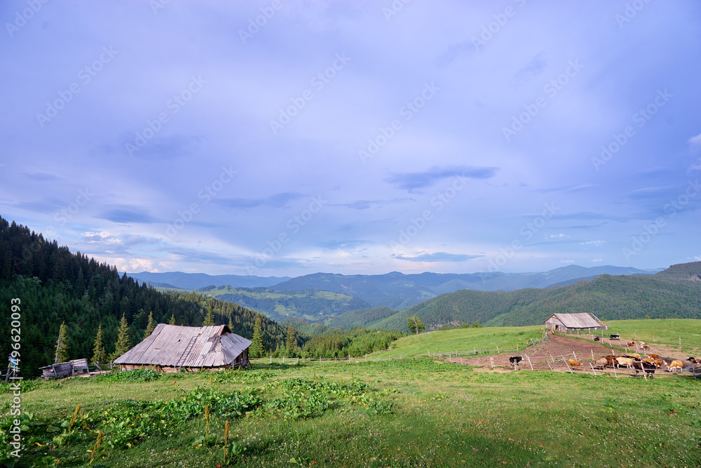 Beautiful summer mountains landscape with green pastureland view and old wooden house. Carpathians, Ukraine.