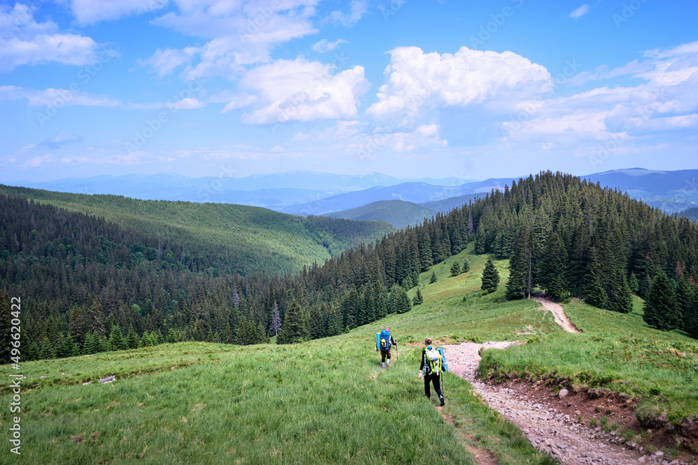 Summer in the Carpathian Mountains. Beautiful landscape with green valley and pathway in forest.