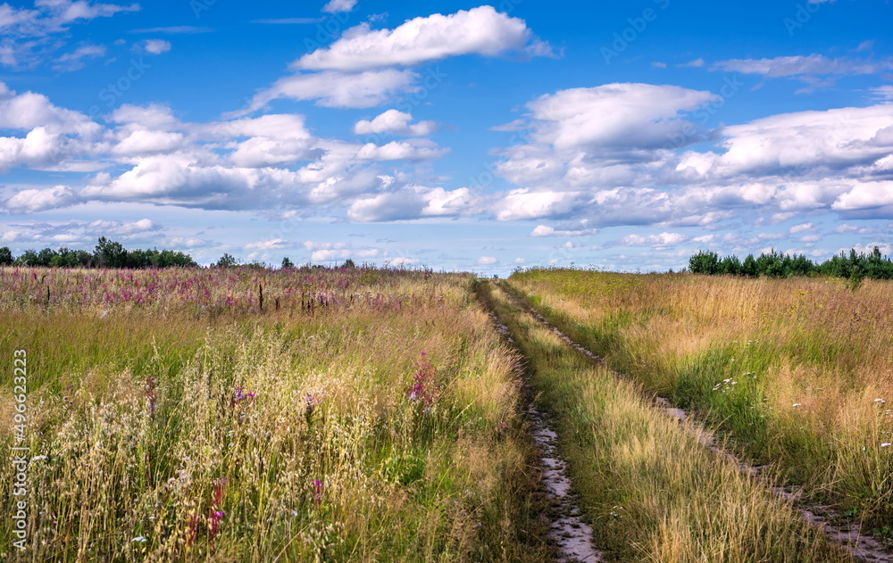 road in a field among grass and sky 