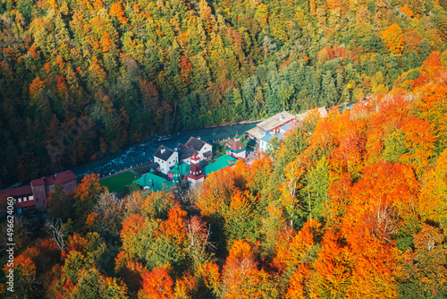 Fototapeta Naklejka Na Ścianę i Meble -  Top view of colorful trees in the Caucasian mountains.