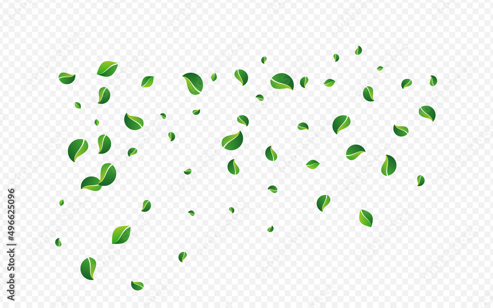 Green Leaf Abstract Vector Transparent Green Leaf Abstract Vector Transparent
