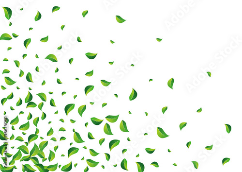 Mint Greens Transparent Vector White Background.